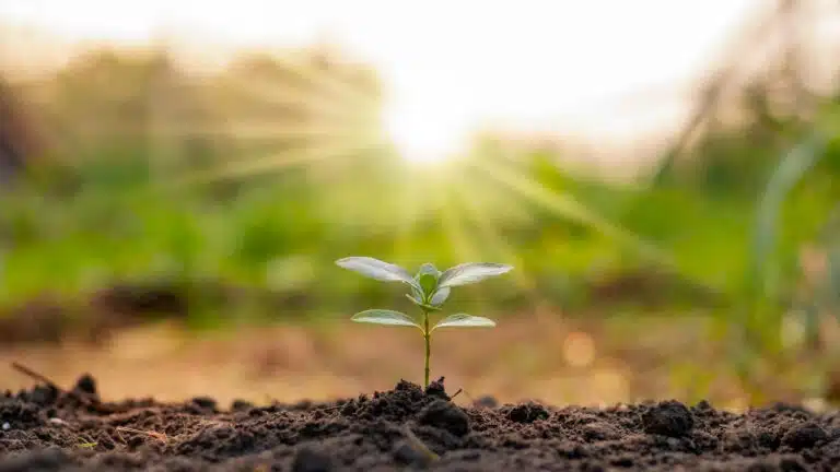 Was bedeutet Transformation wirklich?